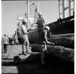 Port of Tauranga, Mount Maunganui, 1971.