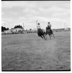 A rodeo in Carterton, 1974.