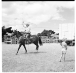 A rodeo at Carterton, 1974.