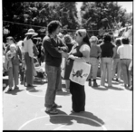 Fair at Matauranga School in Aro Valley, Wellington