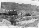 Taupo Totara Timber Company trains crossing at Kopakorahi
