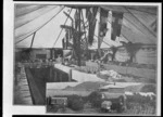 Table setting for the Redwood-Ottaway wedding feast; Ottaway house at Port Molyneux, Otago