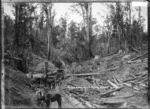 Working gang on a bush tramway line, Punga Bush, Manunui