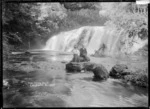 Coal Creek Falls, near Greymouth