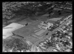 Mount Albert Grammar School, Auckland City