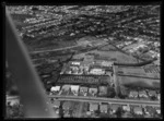 Plant Diseases Laboratory, Mount Albert, Auckland City, part of Ministry for Primary Industries