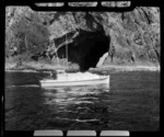 Off Cape Brett, Bay of Islands, Far North District, Northland