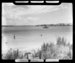 Urupukapuka Island, Bay of Islands, Far North District, Northland