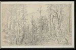 Guérard, Eugen von, 1811-1901: Mt. St. Arnold. Woodspoint track. 12 Dec. 78