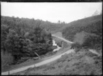 Mile Bush, Waingaro, near Raglan - Photograph possibly taken by Gilmour Brothers