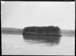 Whatitirinui Island, Raglan Harbour, 1910 - Photograph taken by Gilmour Brothers