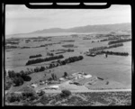 Rural scene between Featherston and Martinborough, Wellington Region