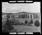 Panorama of farmland,Tokorima, Taumarunui, Manawatu-Wanganui Region