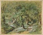 Monkhouse, Thomas Stewart, 1828-1920 :Sketch ... for a "closer wood" stage scene at the Thames Theatre, Auckland province, New Zealand [ca 1868?]