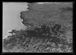 Rangitoto Island, Hauraki Gulf, Auckland Region