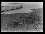 Rangitoto Island, Hauraki Gulf, Auckland Region