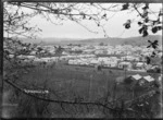 General view of central Wanganui from the foot of St John's Hill