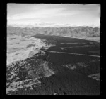 Forests in Balmoral, Hurunui District, Canterbury Region