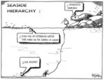 Seaside hierarchy - 1. Defenceless creatures. 2. Scum... 3. Seal bashers. 7 December 2010