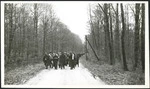 World War, 1939-1945. Allied prisoners-of-war on forced march in Germany