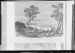 Illustrated New Zealand herald :Landing the New Zealand telegraph cable at Botany Bay, N. S. W. [1876]