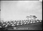 View of the Mounted Special's camp in the Auckland Domain, Auckland