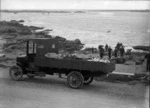 Fishermen with their catch ready to load on an open truck, Island Bay