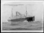 New Zealand Shipping Company's ship, R M S Turakina