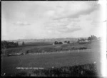 General view of Ponsonby from Cox's Creek looking east