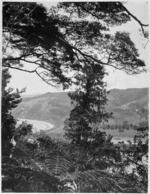 Scene in Tasman district
