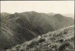 Part two of a two part panorama of the Tararua Ranges