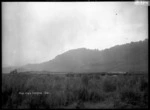 Logging train laden with logs, the "Puke Puke Express", near Pukepuke in Oroua County