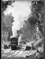 Taupo Totara Timber Company locomotive hauling logs on a timber mill at Mokai - Photograph by the Weekly News