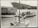 Scene near the shore at Opua