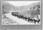 Mounted Rifles on road in Palestine during World War I