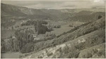 Section of Tutira station, Hawke's Bay - Photograph taken by John Dobree Pascoe