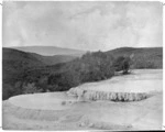 Creator unknown :Photograph of the White Terraces, Rotomahana