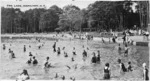 Children swimming in Hamilton Lake, Hamilton