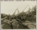 Creator unknown : Photograph of Kauri logs being loaded on to railway wagons at Waitakere, Auckland