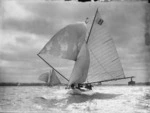 Yacht Celox, Auckland Harbour