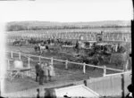 Racecourse, Wanganui, with passenger coaches