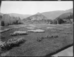 Looking over a field of daffodils, towards Otahuna homestead, Taitapu, Canterbury