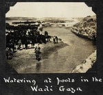 Horses being watered at the Wadi Ghuzze