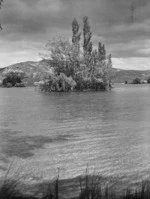 Lake Tutira with the island Tauranga-koau, Hawke's Bay - Photograph taken by John Dobree Pascoe