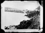 Whanganui River at Upokongaro