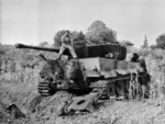 Member of the 18th Battalion, with a captured Tiger tank, Italy