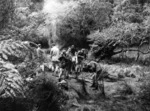 World War II Home Guard unit on patrol, in bush near Eastbourne