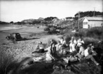 Picnic, Titahi Bay