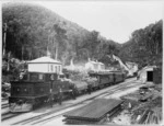 Scene at Rimutaka summit with S class steam locomotive and carriages