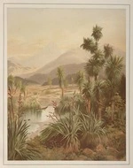 Gully, John, 1819-1888 :New Zealand vegetation. Open country / John Gully, 1875. Dunedin, 1877.